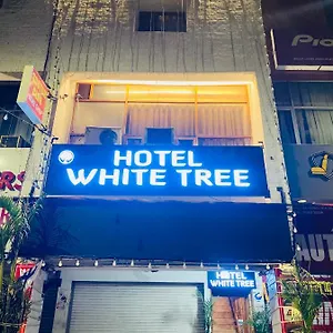 Hotel White Tree 3* Chandigarh