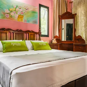 *** Hotel Ayenda Habana Vieja 1221 Colombie